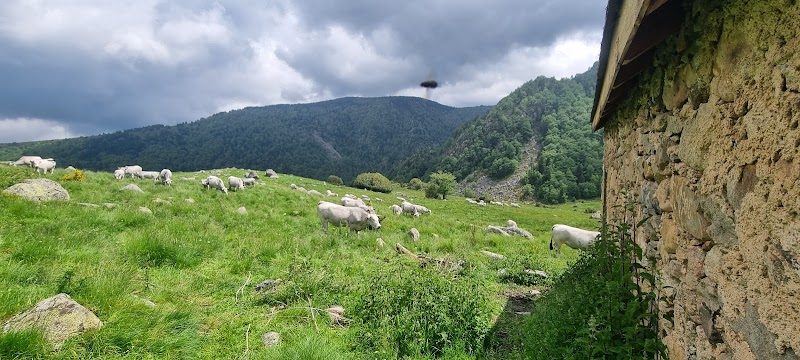 Cabane de Balledreyt