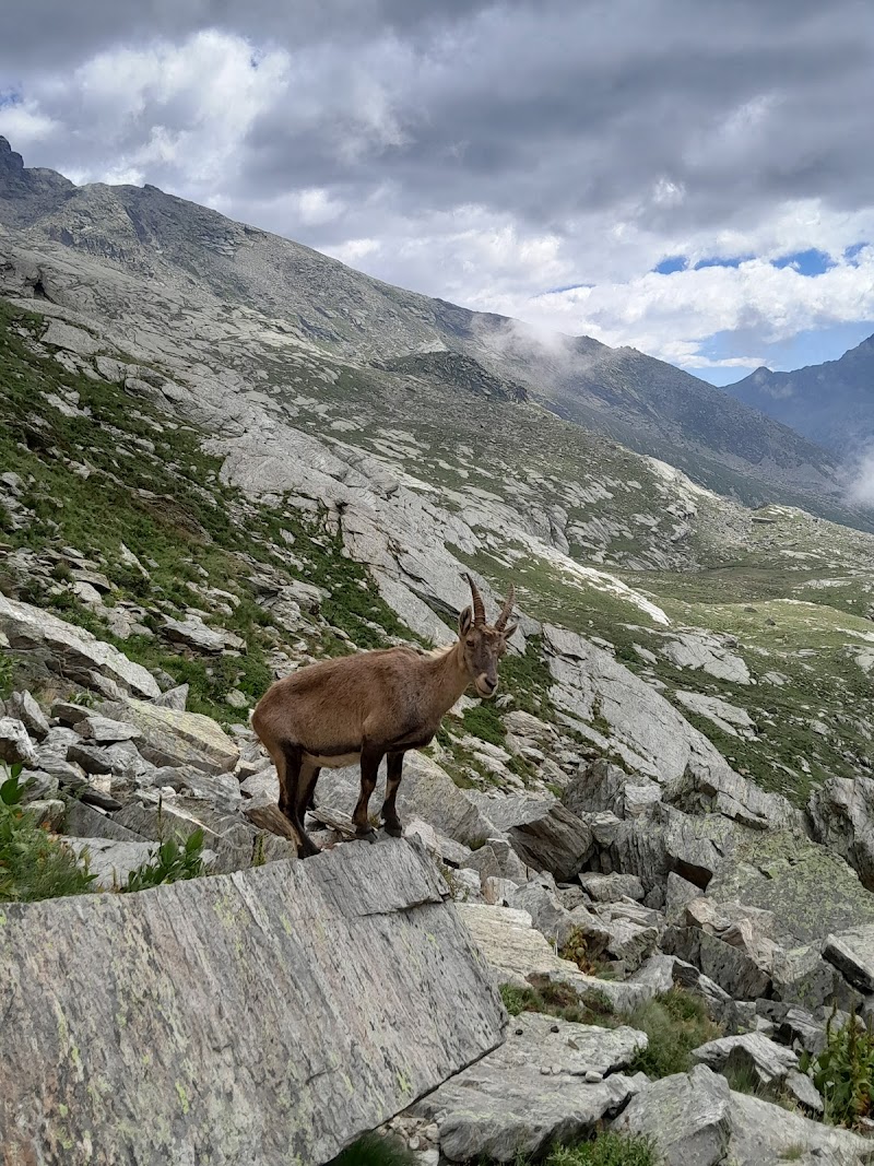 Cabane de Soardi-Fassero