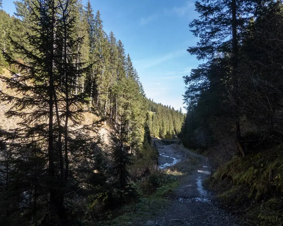 via alpina etape 15 adelboden lenk