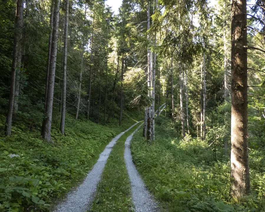 via alpina etape 18 l etivaz rossiniere