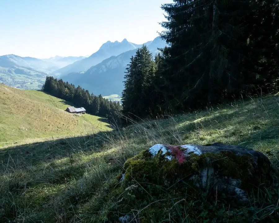 via alpina etape 19 rossiniere rochers de naye