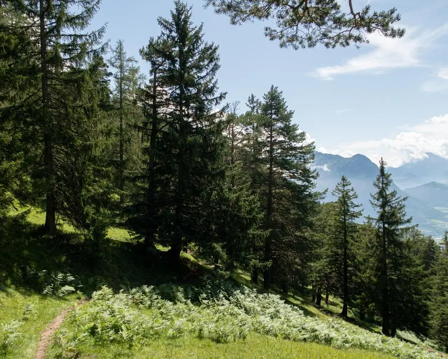 via alpina etape 1 vaduz sargans