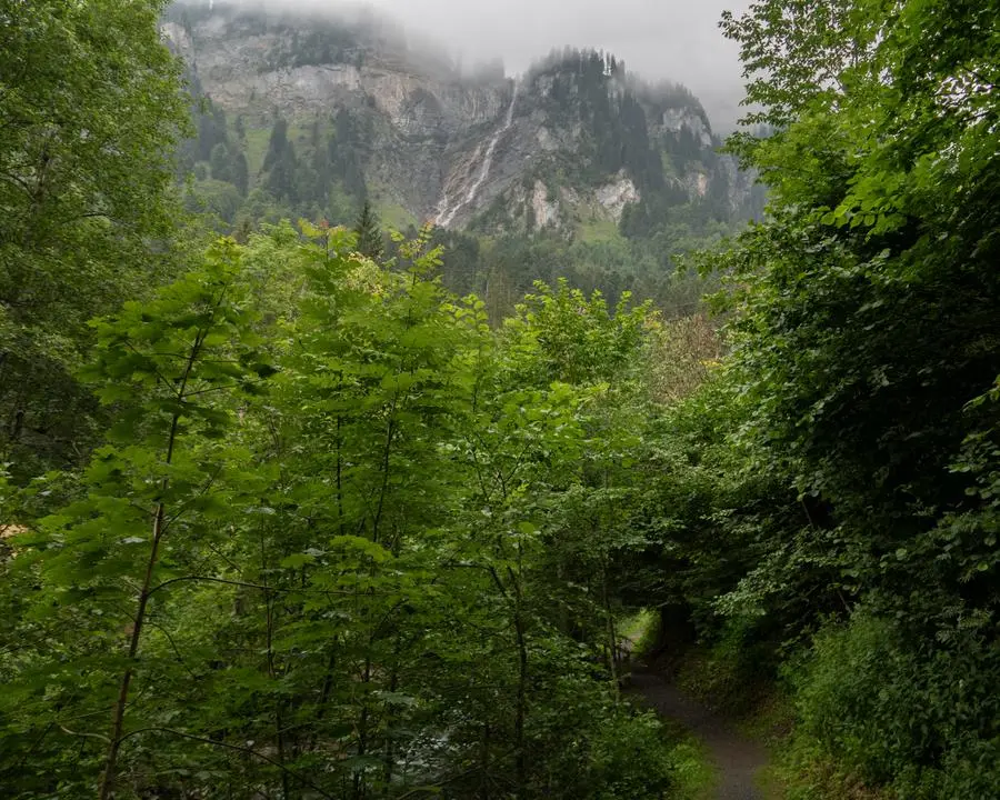 via alpina etape 3 weisstannen elm