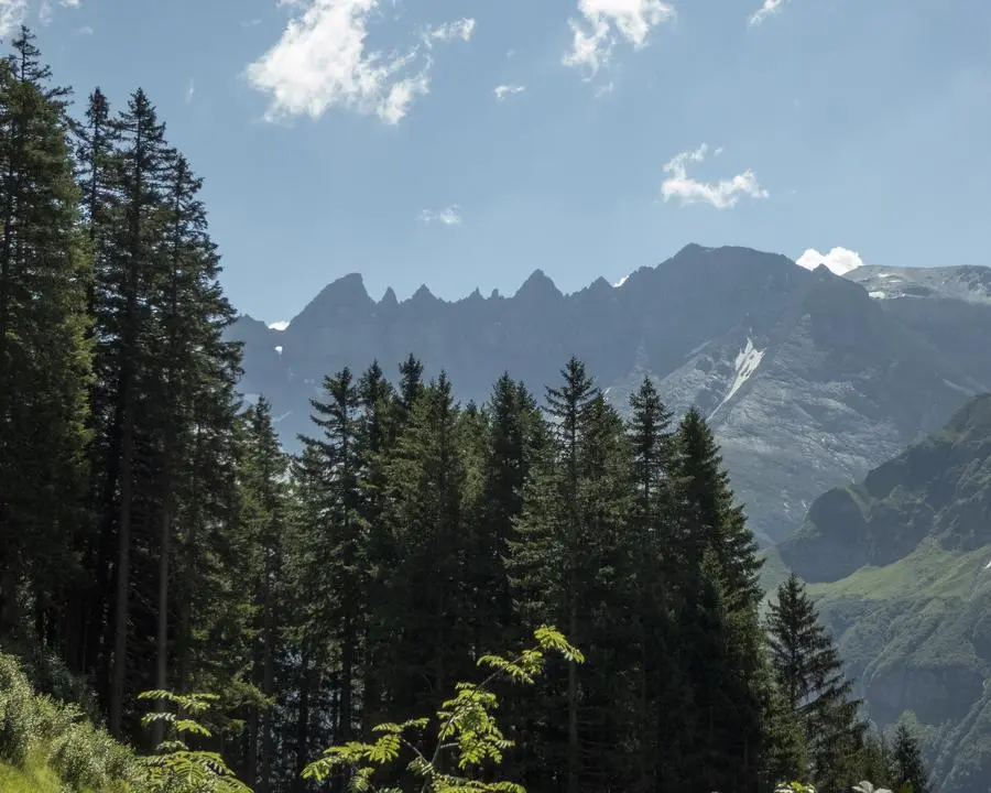 via alpina etape 4 elm linthal