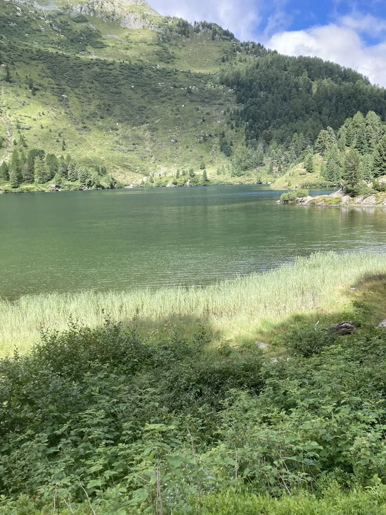 via alpina etape 79 chiareggio maloja