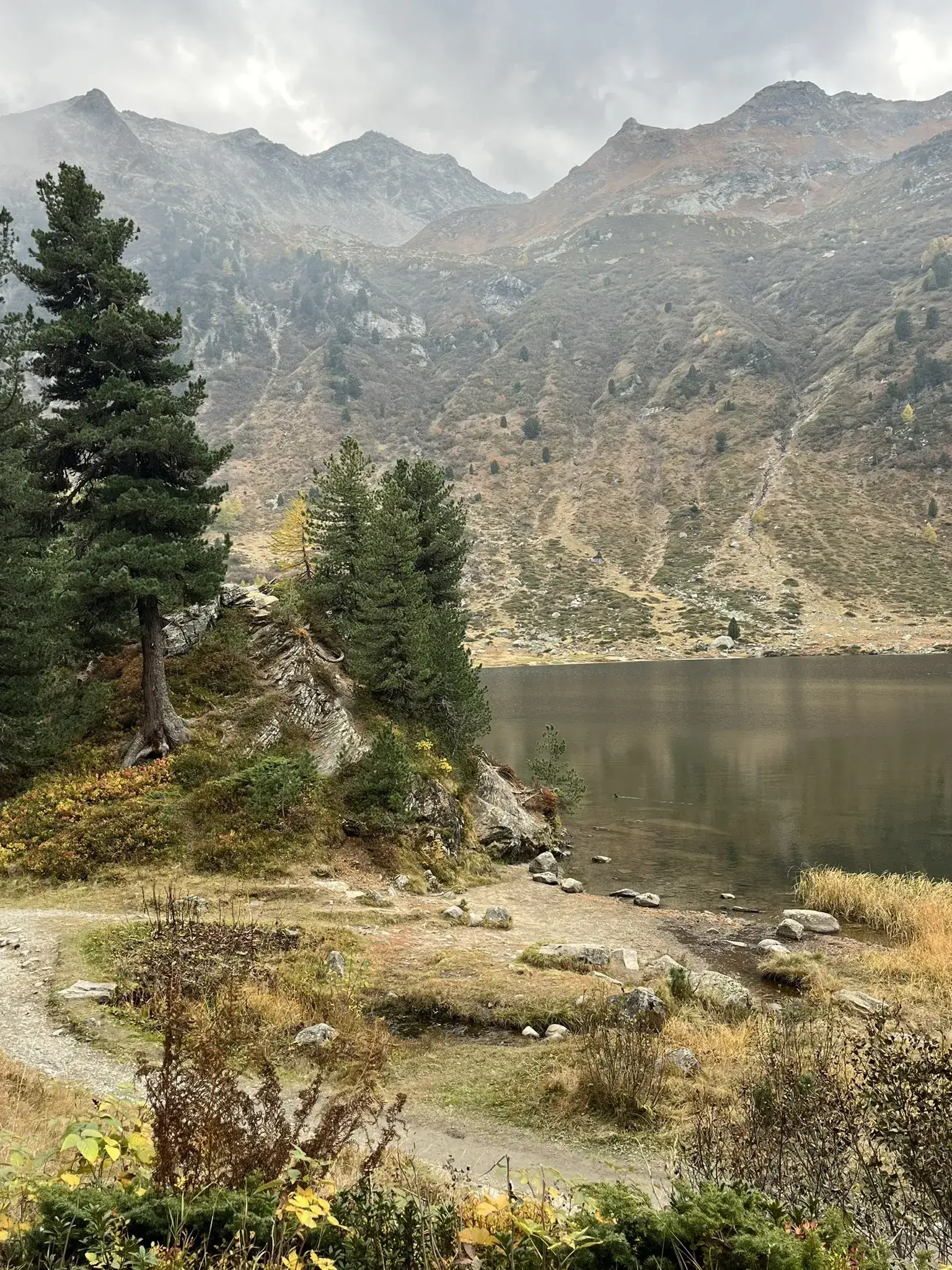 via alpina etape 79 chiareggio maloja