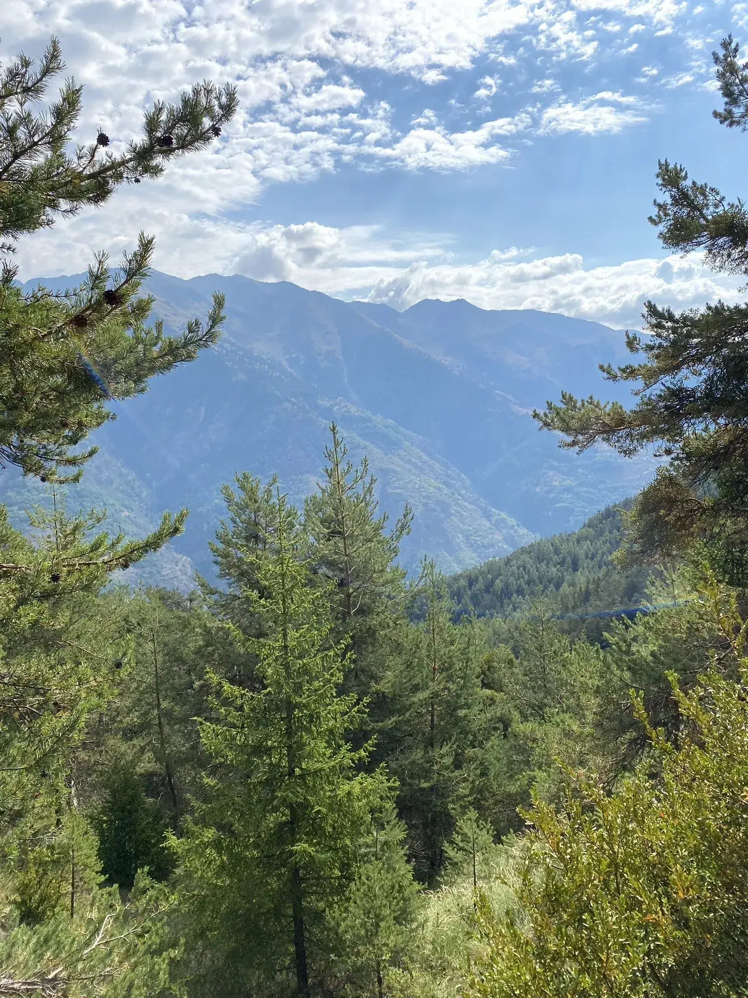 Via Alpina Itinéraire Bleu - Étape 55: St-Etienne-de-Tinée - Roya