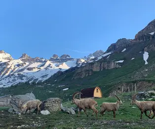 Auberge de Salanfe