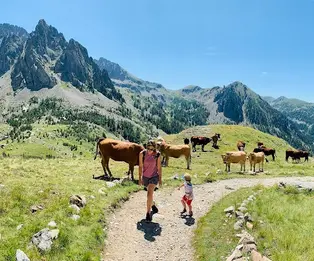 Baraque de Fenestre