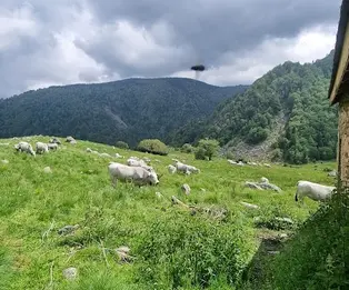 Cabane de Balledreyt