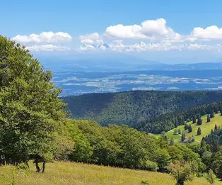 Cabane du Jura/Jurahaus
