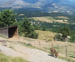 Cabane du Tieouré