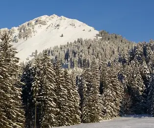 Chalet des Pueys