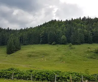 Freisinger Hütte