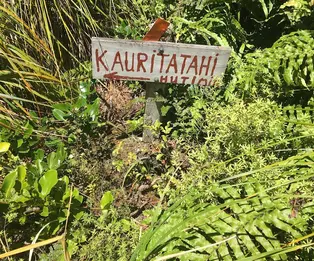 Kauritatahi Hut