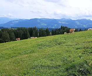 Klinzingshütte