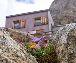 Konkordiahütte