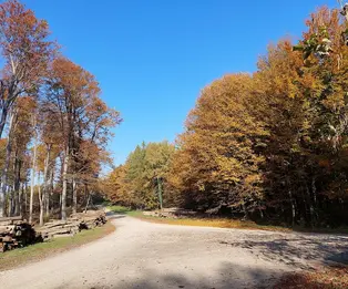 Lugarnica Rajčevica