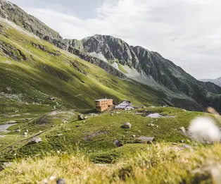 Sulzenau Hutte