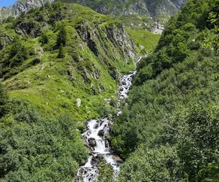 Orri de l'Oule