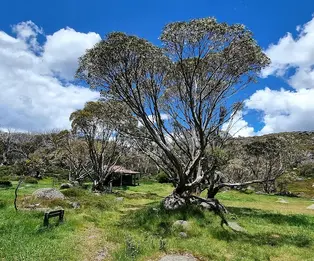 Pretty Valley Hut