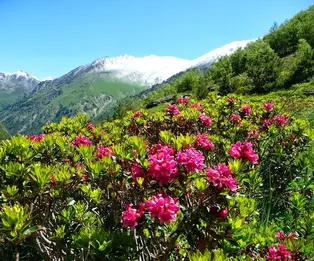 Refuge d 'En Beys