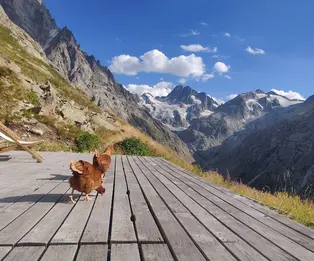 Refuge de Temple Ecrins