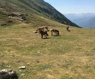 Refuge du Port de Salau