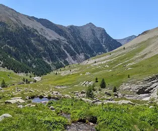 Refuge Laparo