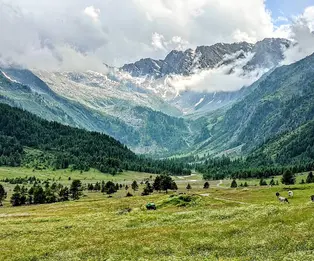 Refuge Willy Jervis