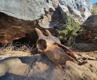 Refugio Cueva Paria