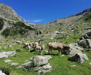 Refugio de Barrosa