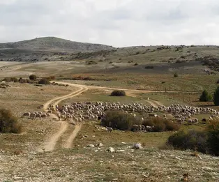 Refugio de Cañada Rincón