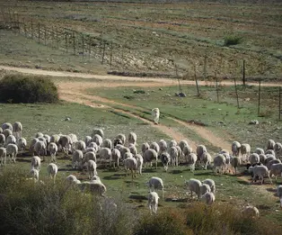 Refugio de Cañada Rincón