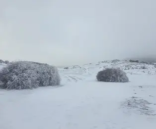 Refugio de Los Prados