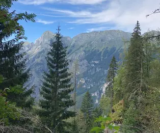 Ricovero Casera Goriuda di sopra