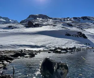 Rifugio Dondena
