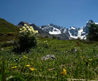 Rifugio Luigi Mambretti