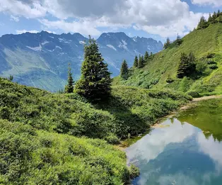 Salbithütte