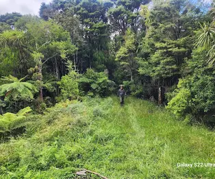 Tangihua Hut