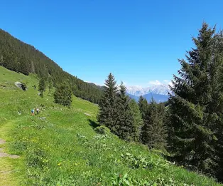 Voldertalhütte