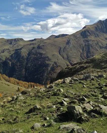 Cabana de Pomero