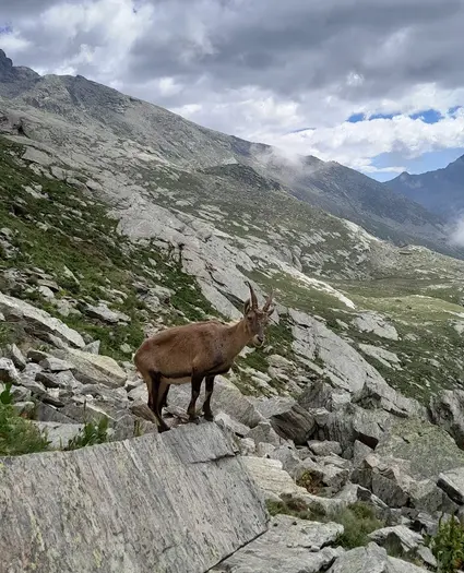 Cabane de Soardi-Fassero