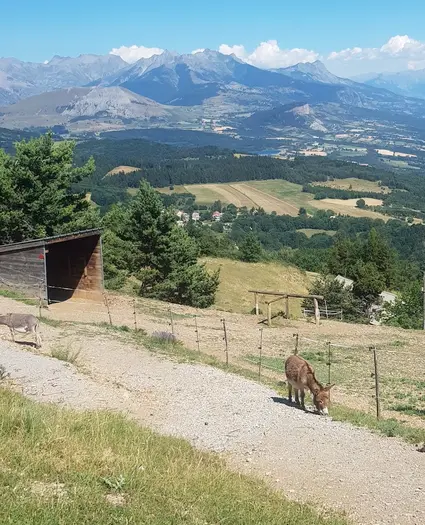 Cabane du Tieouré