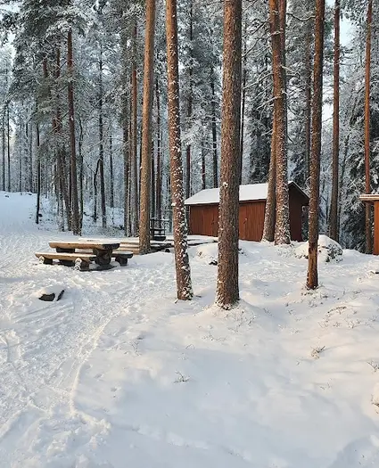 Hirvastupa, vuokratupa