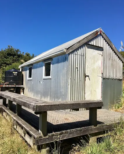 Kauritatahi Hut