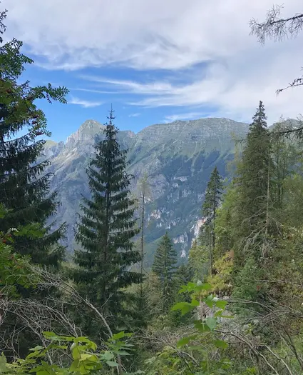 Ricovero Casera Goriuda di sopra