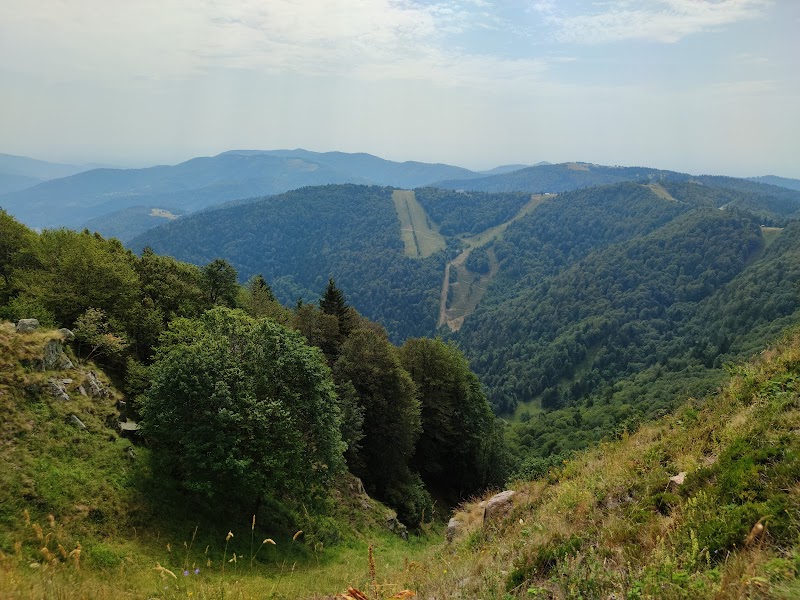 GR 5 Vosges, Le Donon - Ballon d'Alsace