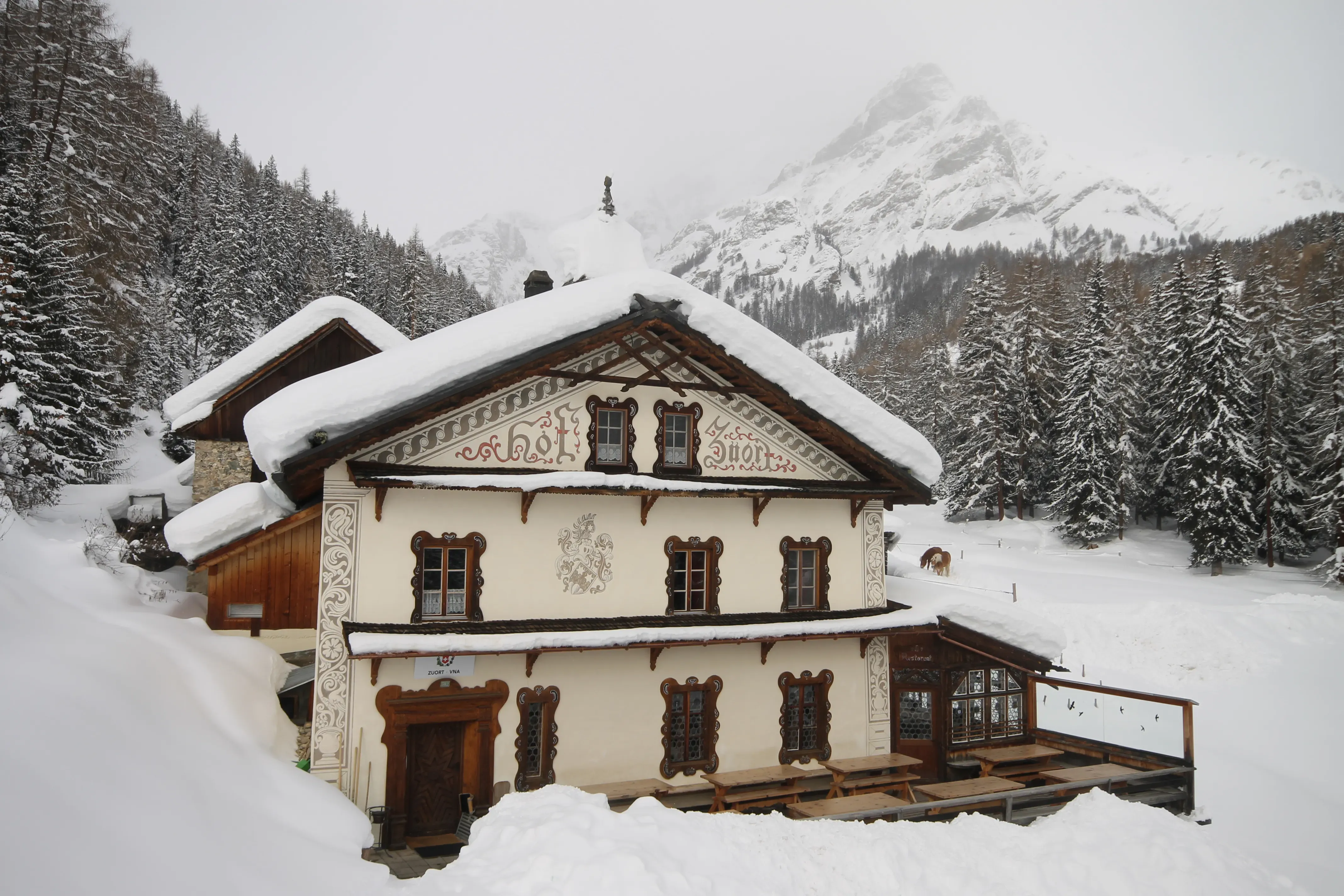 Hof Zuort
