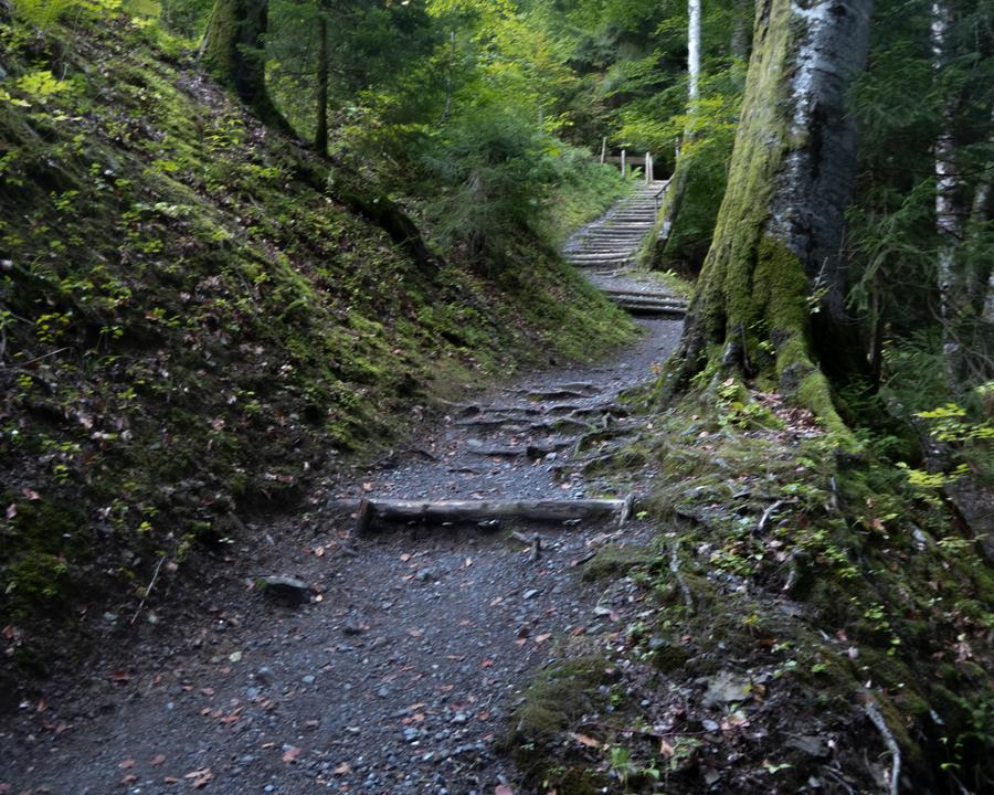 Via Alpina Étape 8 : Engelberg - Engstlenalp